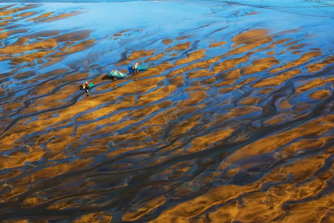 这座海滨小城真是美丽又整洁,这座海滨小城可真美丽