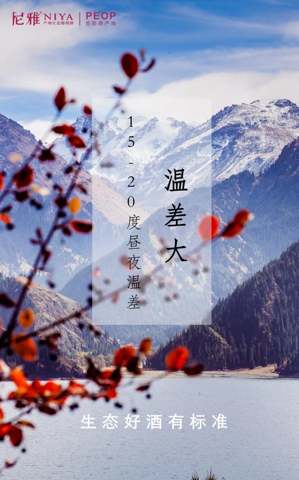 尼雅五星东方白酒,生态好酒自然柔和