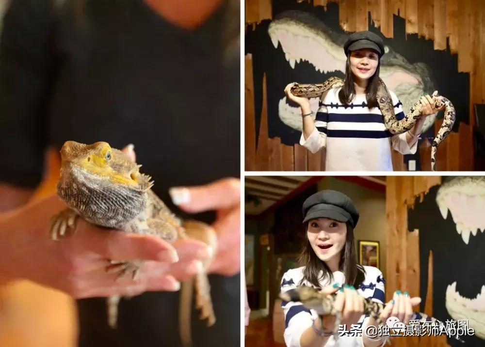 请收下这份美好生活攻略,请收下这份旅游攻略