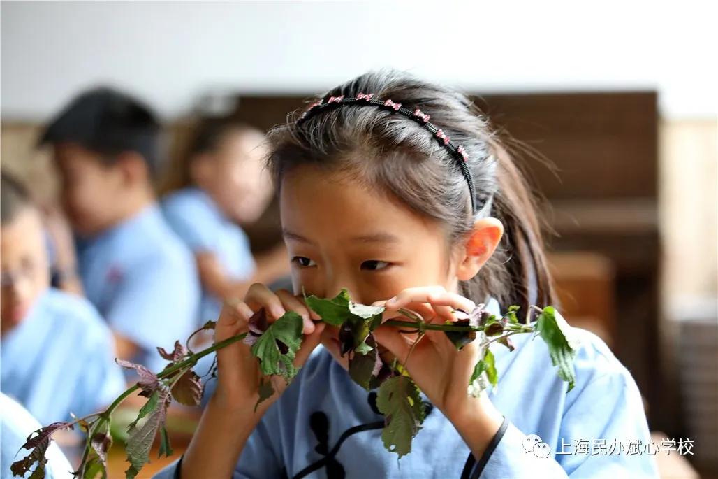 【扩散】一张一驰，文武斌心——民办斌心学校2020招生公告