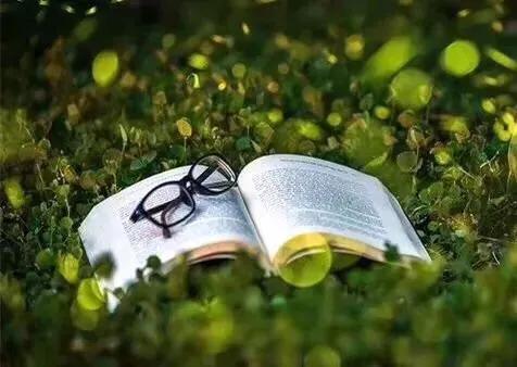 盐如人生：一勺盐，放进杯子里，会咸；撒进湖水里，会淡