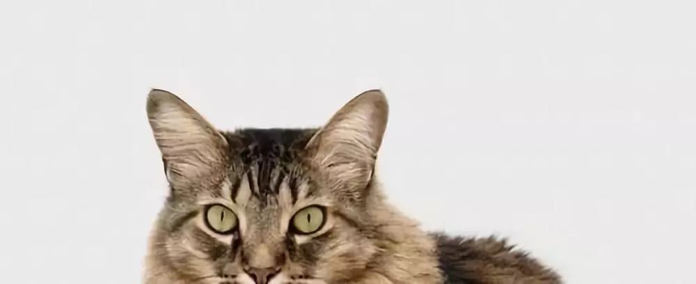 人生进一步则死退一步则亡,进一步则死退一步则亡应该怎么做