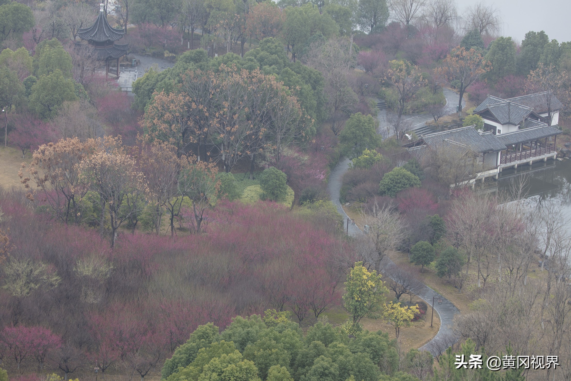 疫战日常,疫期日常