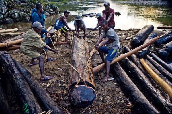 纪录片：太危险！非洲人工原木运输月薪5000元，重卡司机却是一万