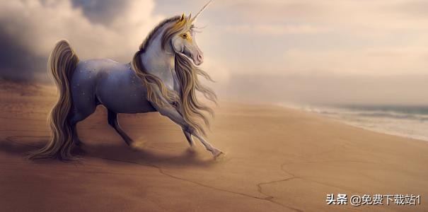 郑州三批次民办高中录取分数线,郑州民办大学录取分数线