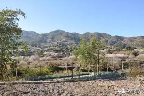 鍘夊浜嗙寤虹渷,鍘夊浜嗙渷绾х櫨寮轰腑蹇冮晣