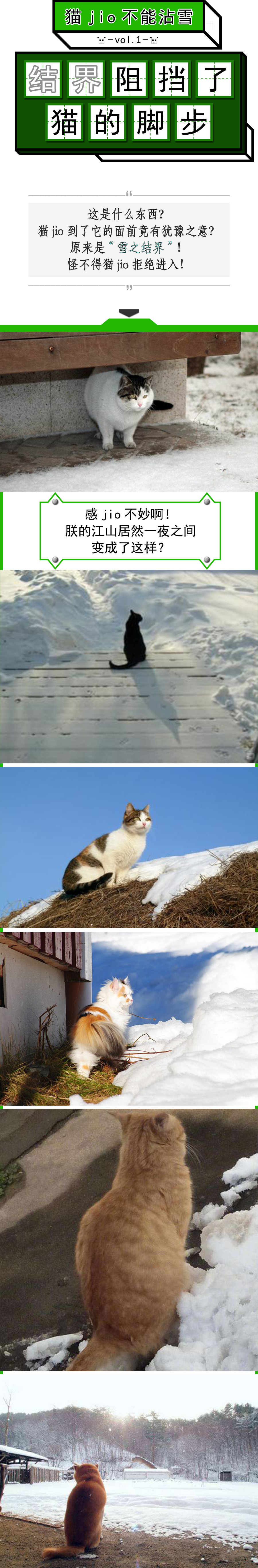 猫爪为什么那么有力,猫爪那么锋利猫舔手不会受伤吗