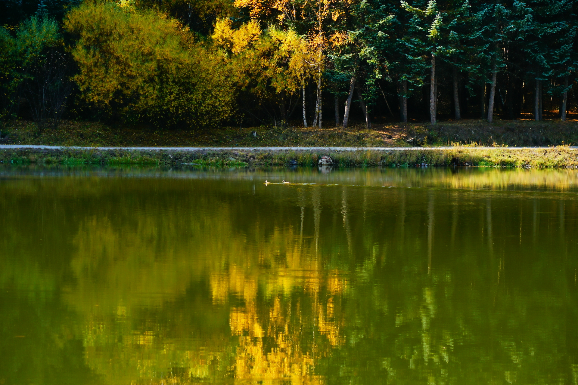 京北第一天路千松坝国家森林公园,千松坝森林公园和京北第一天路