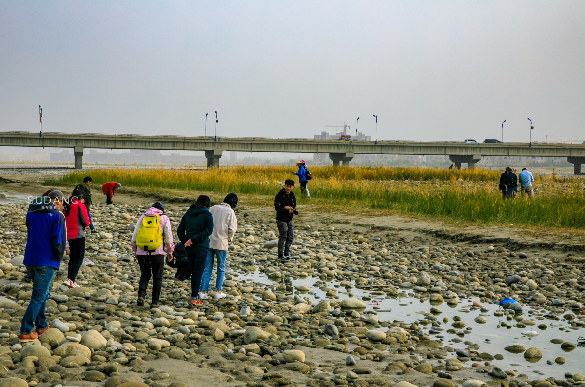 疆内哪里好玩风景好,疆内好玩的地方推荐