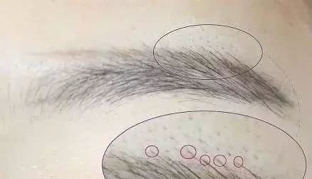 眉毛怎么修更好画,眉毛修毁了怎么画眉毛