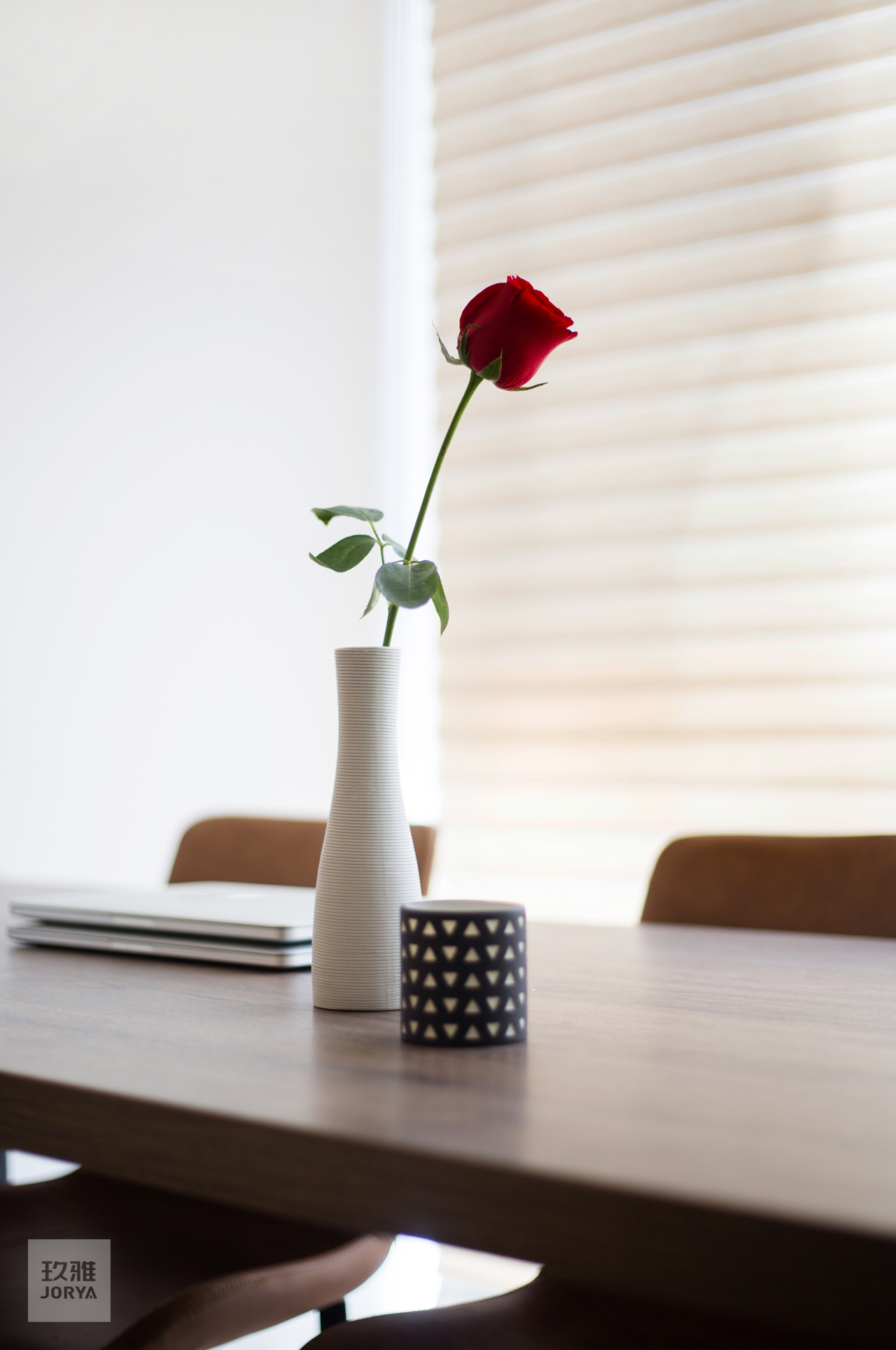 这家的电视柜既能收纳,也是喵星人乐园