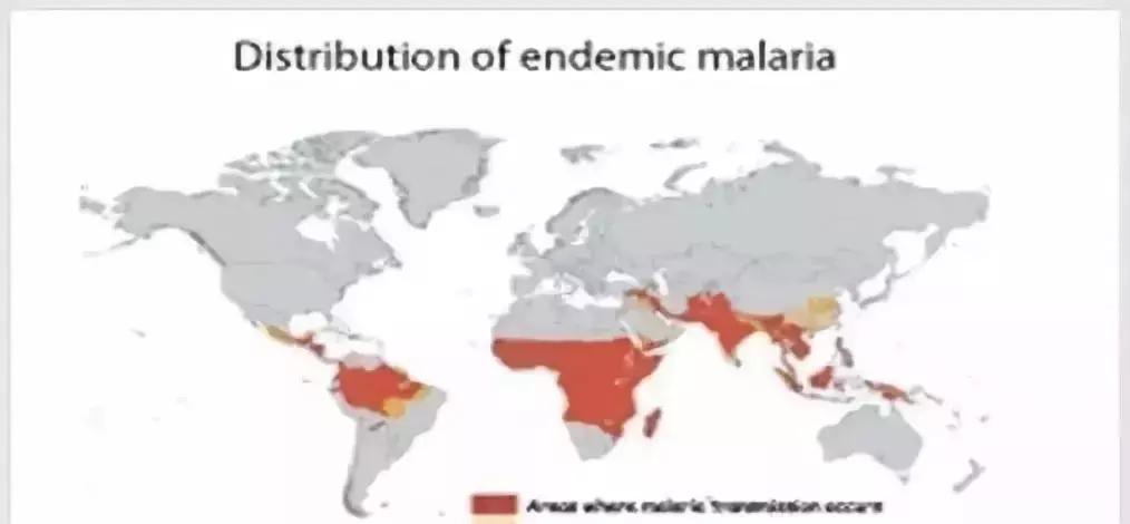 疟原虫治疗癌症叫停,疟原虫治疗癌症最新消息