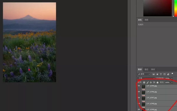 摄影ps景深合成的方法,ps景深合成焦点堆叠