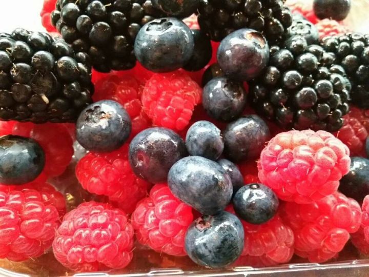 如何种野生树莓,树莓果的种子怎么种植