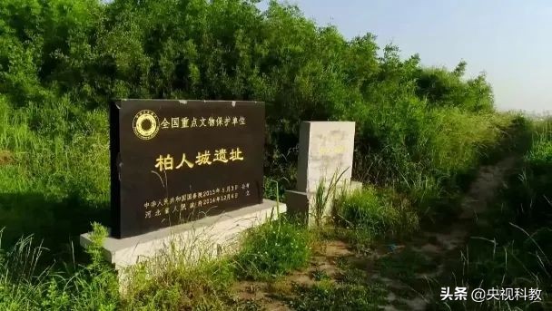 中国影像方志|隆尧：李唐故里招子鼓高亢激昂，泽畔鲜藕、羊肉汤香飘万里