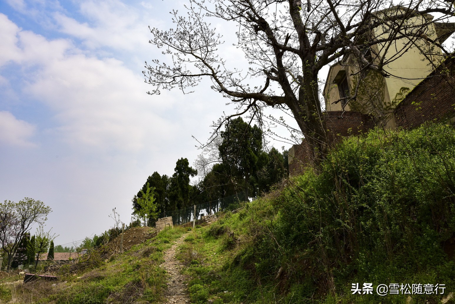 琛岃蛋鍦ㄤ含鏉ぇ杩愭渤,寰愬窞澶ц繍娌宠寘鏉戞