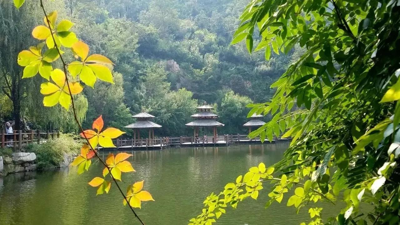 我爱摄影随笔,我爱摄影第四期