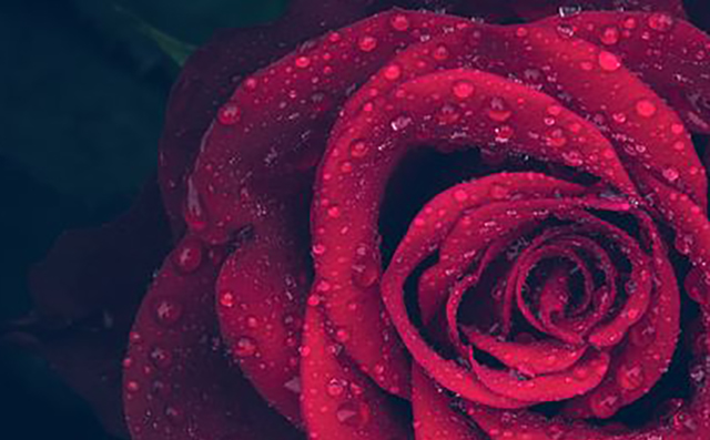 怎么让网络兼职退会费,网络兼职收会费的靠谱吗