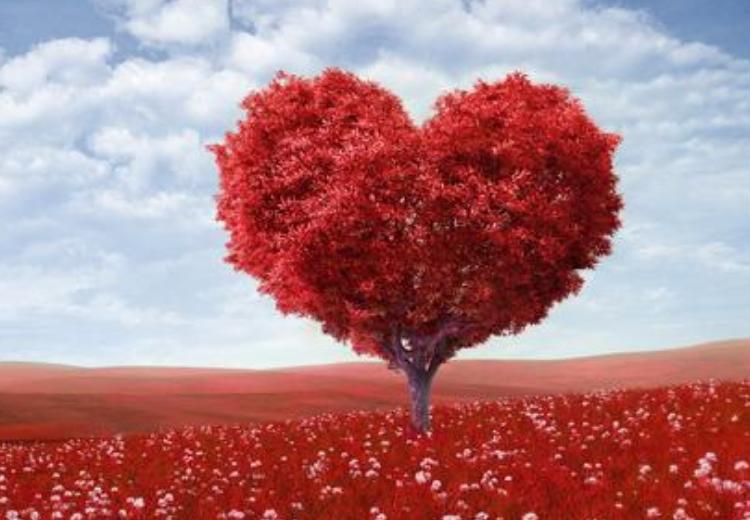 老婆牙疼到受不了,老婆牙疼去诊所