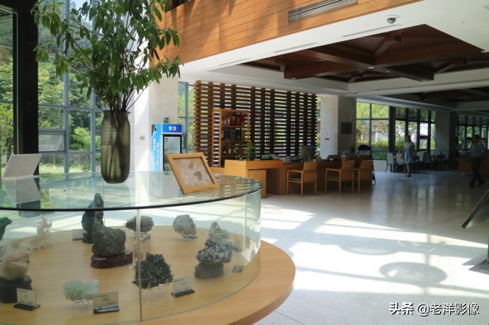 藏龙大别山度假酒店,罗田天堂寨藏龙大酒店价格