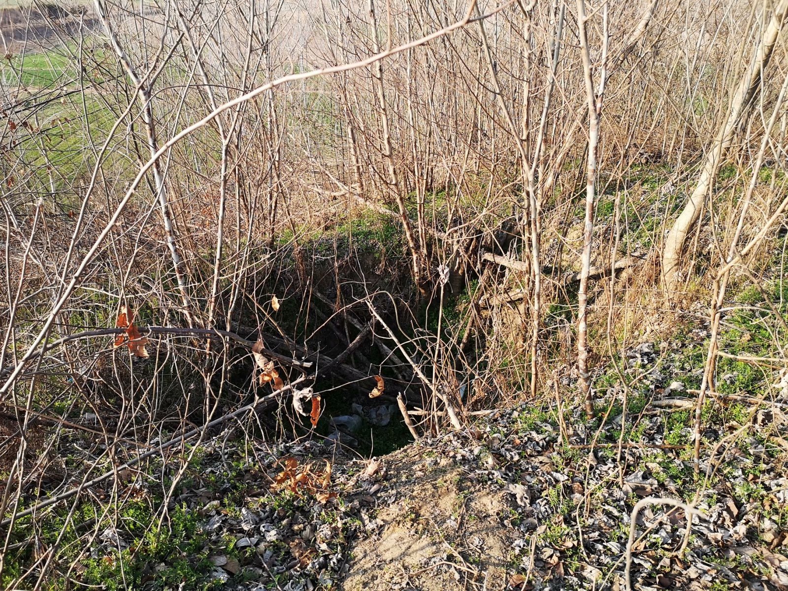 摩托周边旮旯游——探访明光法华禅庵塔