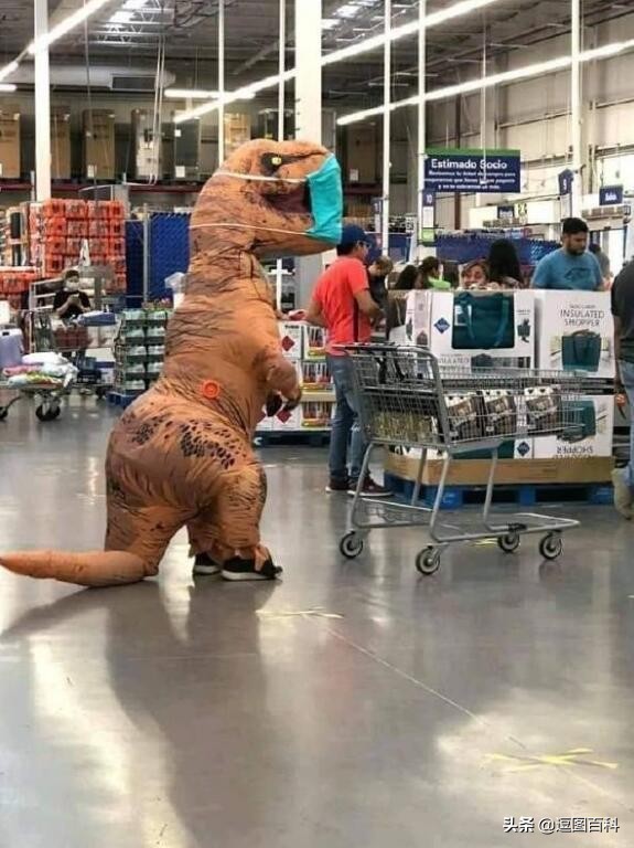 每日一笑二十四期,每日一笑深度解读