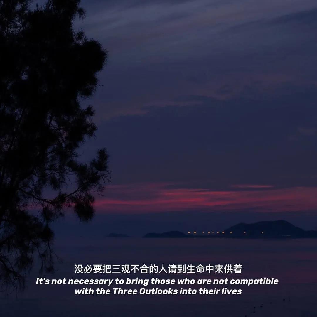 大自然治愈清新的背景图,文艺清新淡雅鲜花背景图