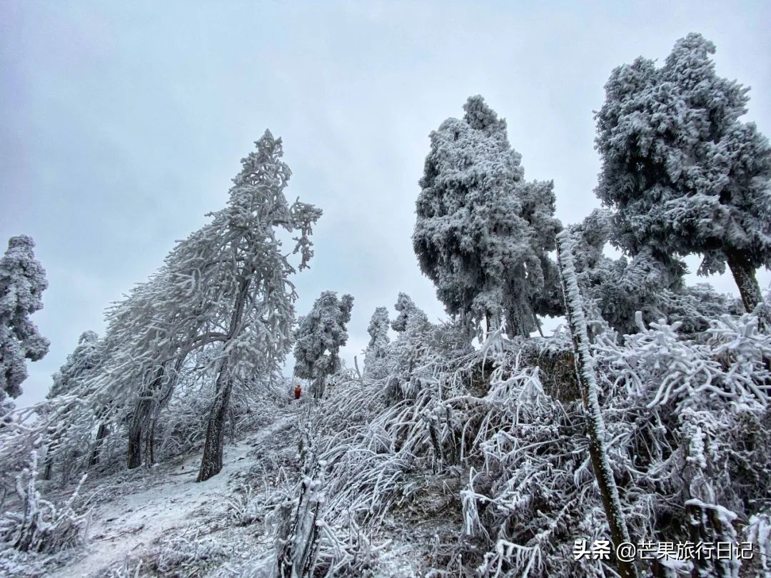 南岳衡山雾凇一日游攻略,南岳衡山看雾凇哪条线路美