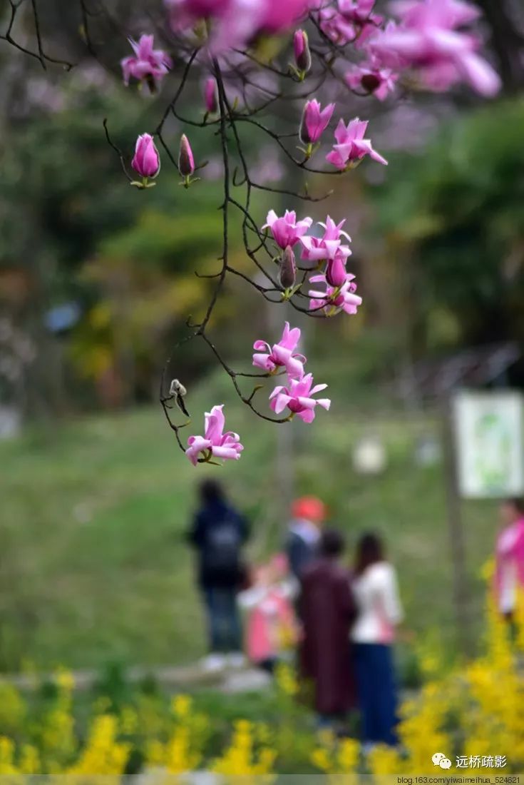 药王谷里觅旧迹（原图文）