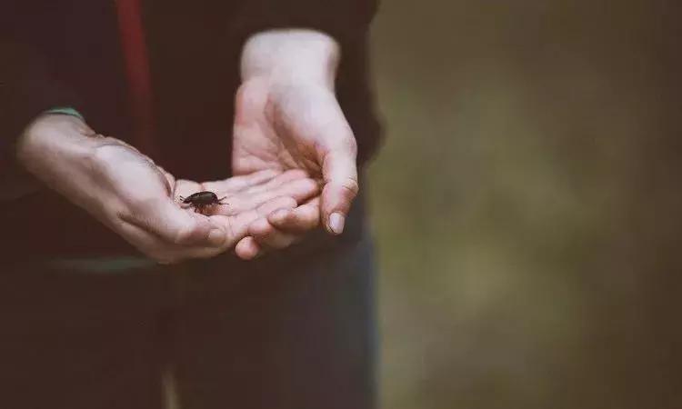 夏天最要小心这四种虫子,在外面遇到这种虫子千万别用手拍