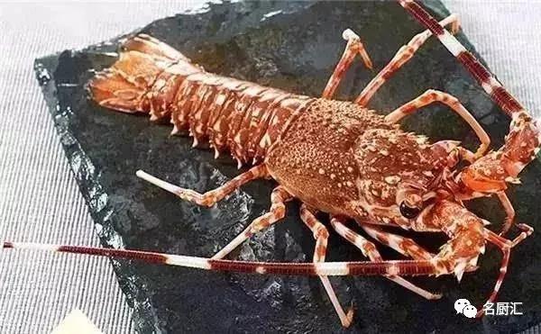 世界顶级十大海鲜,十大顶级海鲜价格排行榜