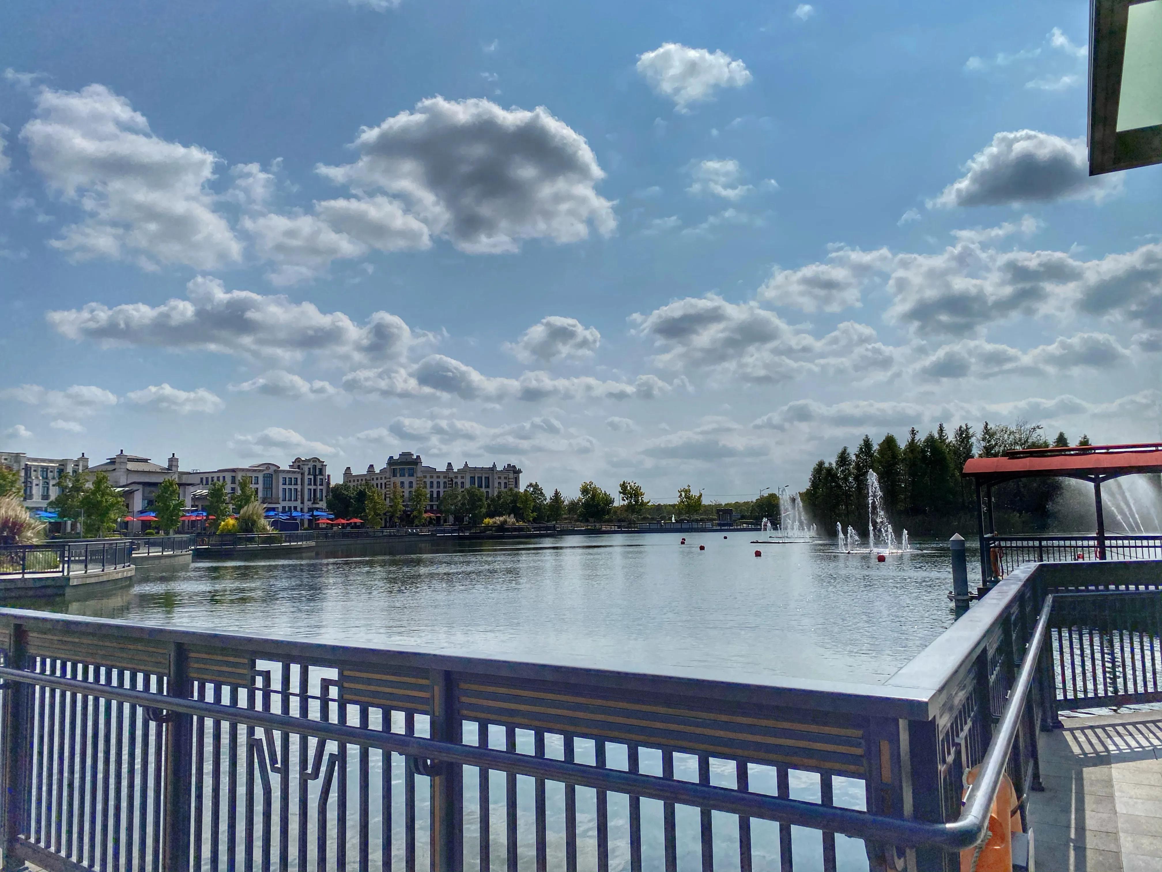 奕欧来可以带狗吗,奕欧来可以带宠物吗