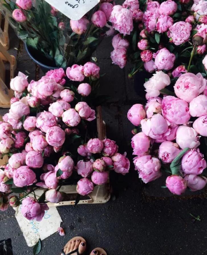 「风尚行」“花花世界”触手可及，隐藏在新亚洲体育城的娇艳诸芳