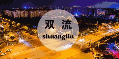 双流区主导产业,双流经济支柱产业