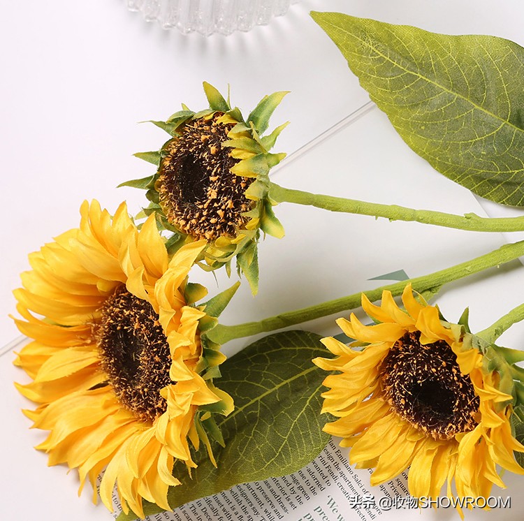 租房必备品好物30件,不到100元租房好物