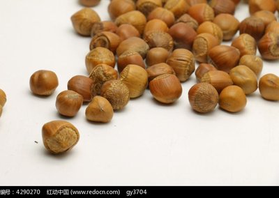 坚果最近发生的新闻,坚果的故事