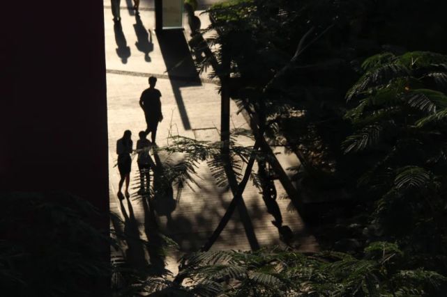 广东岭南职业技术学院2024分数,广东岭南职业技术学院志愿填报