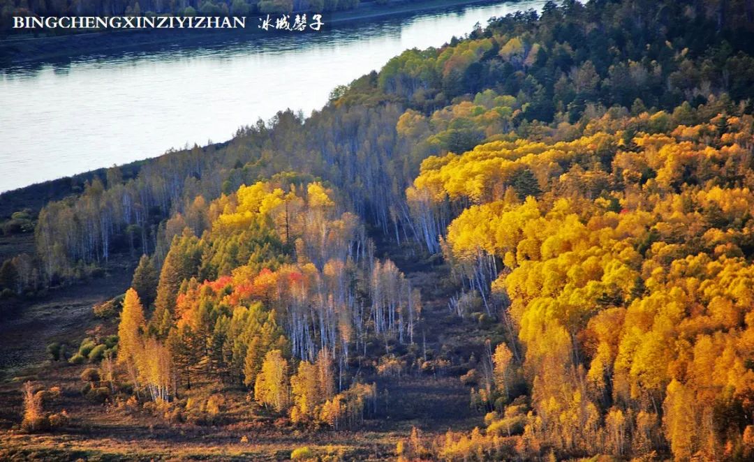 深秋的大兴安岭色彩斑斓,大兴安岭的秋天美景