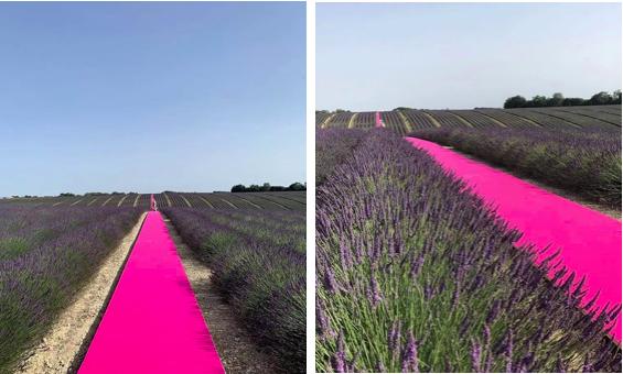 跟着ins最有品味男孩Jacquemus，去法国南部流浪