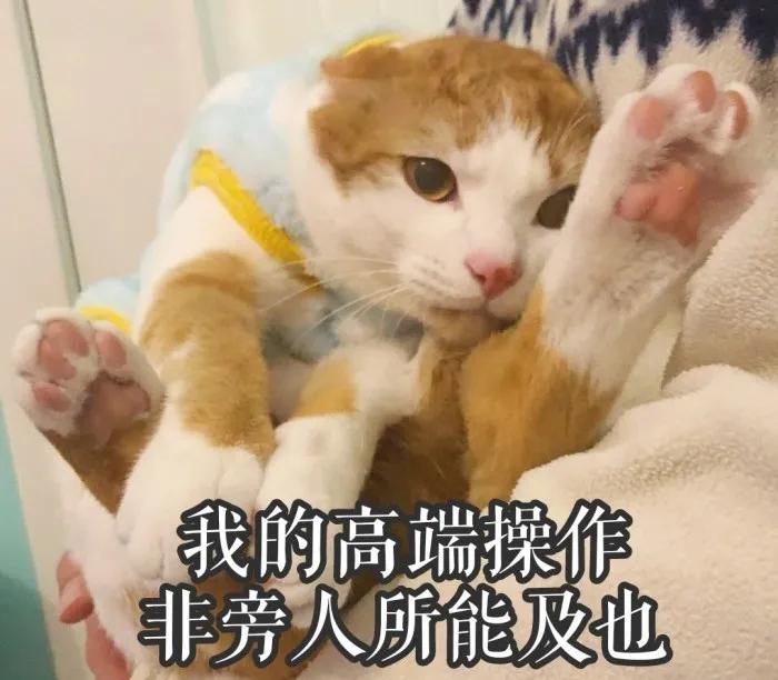 适合晚上喝的减肥果蔬汁,减肥必喝的果蔬汁清肠刮油排毒