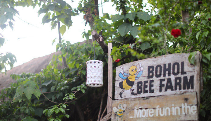 在菲律宾长滩岛潜水,在菲律宾浮潜的春天