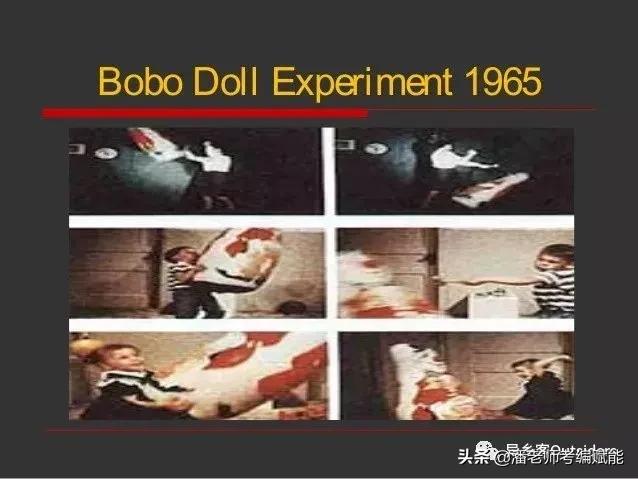 教招考试中常考的实验有哪些？