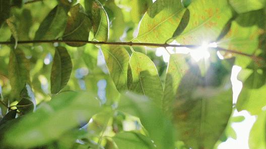 什么地方开面包店很难吸引顾客 (面包店最难经营的地方)