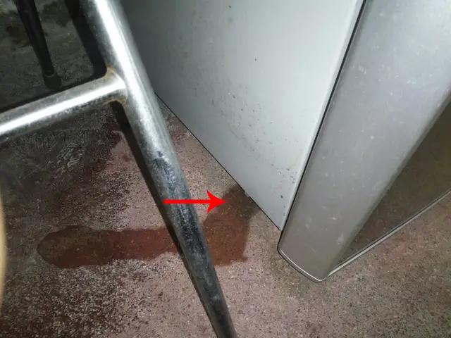 冰箱储水盒发臭排水管要洗吗,冰箱储水盒清理了还是有臭味