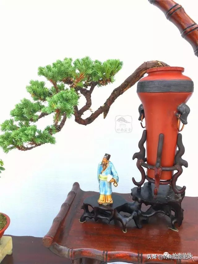 鎺㈡灊妞嶇墿,鎺㈡灊