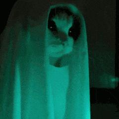 鎶婇厭搴楀仛鎴愰厭搴楄鏈夌殑鏍峰瓙,鎶婇厭搴楁敼閫犳垚鏈棩鍫″瀿