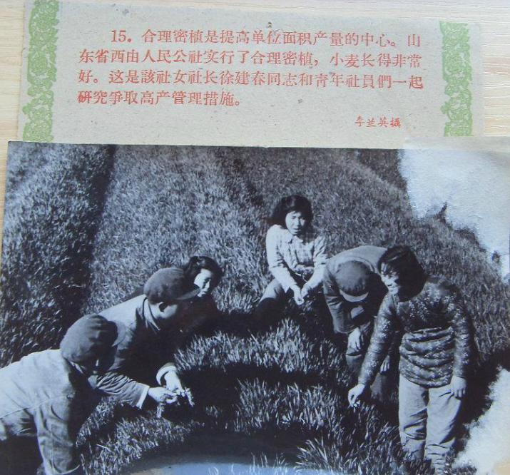 上世纪50年代,给毛主席点烟的女知青,如今怎么样了?