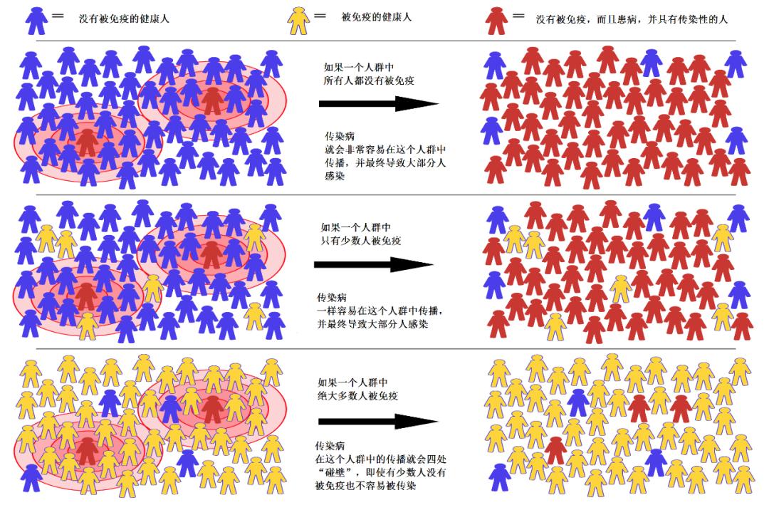 疫苗对现在的新冠病毒起作用吗,疫苗对新冠疫情的作用