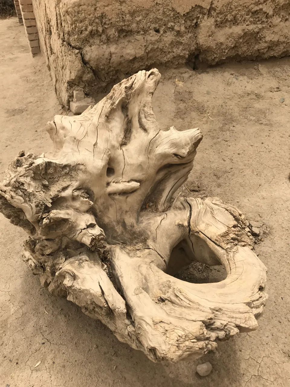 你我皆旅人,何日是归年