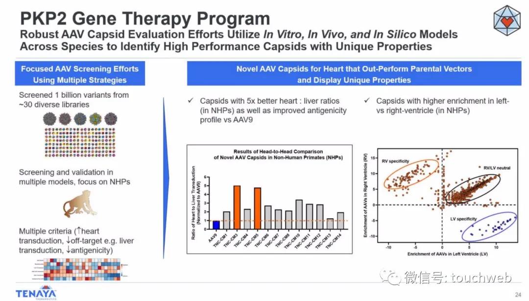 基因疗法相关上市公司,tenaris公司